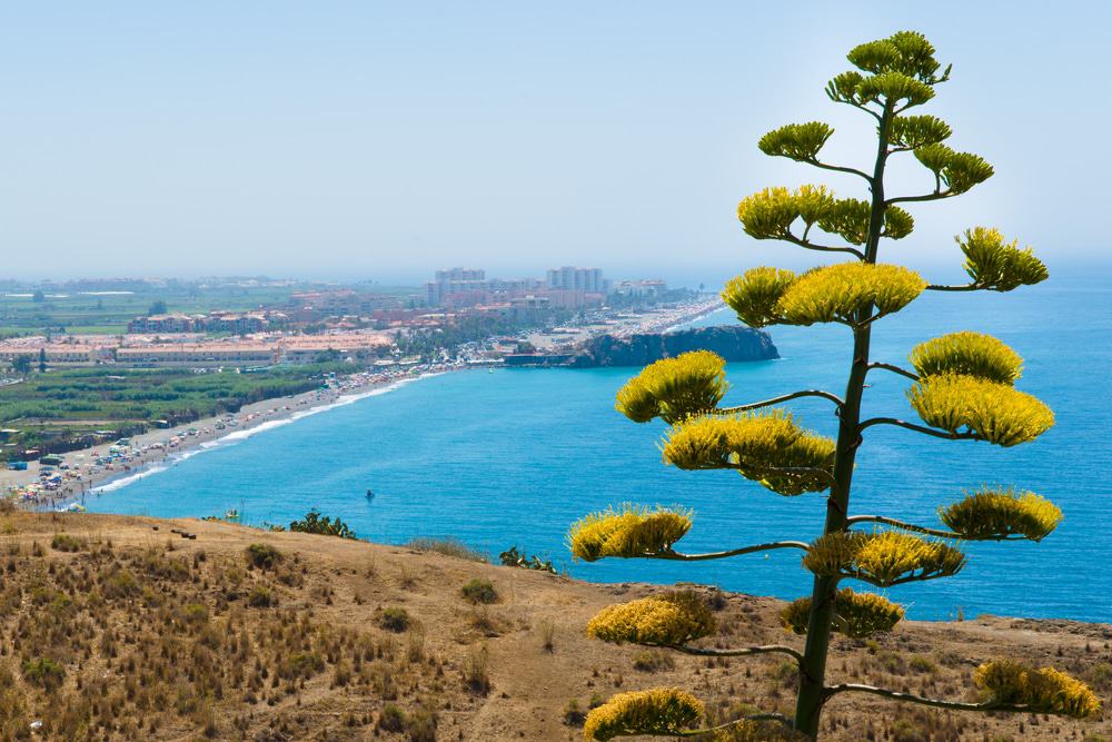 Costa Tropical, Spain