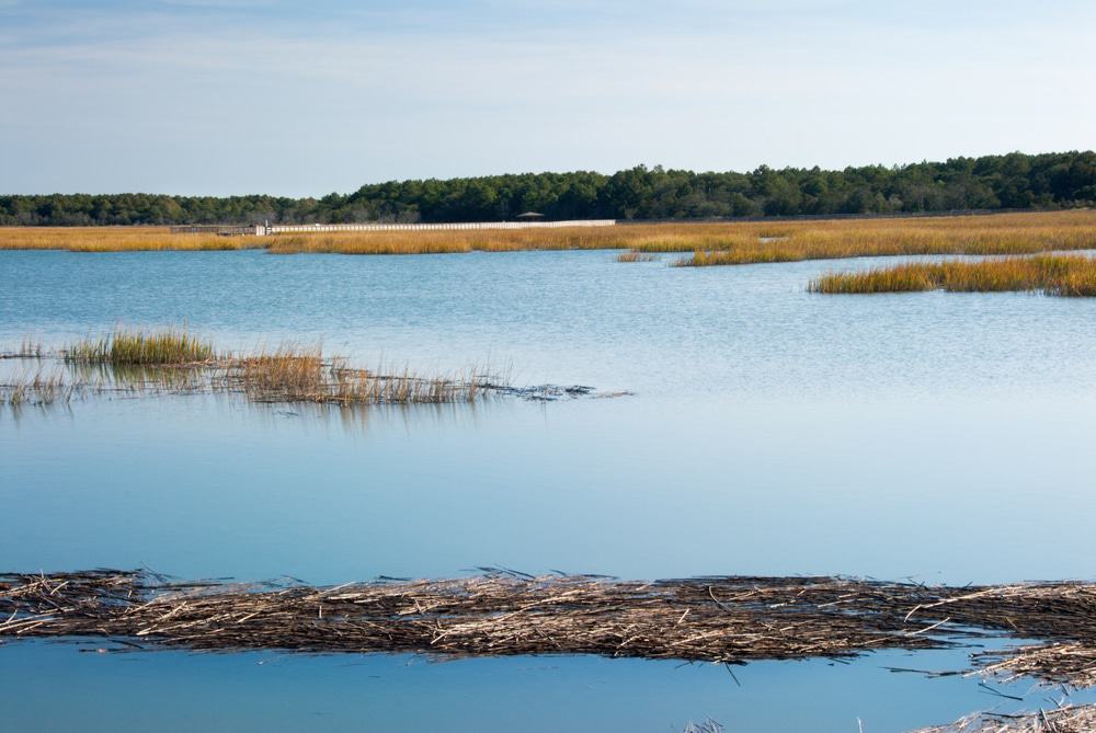 Huntington Marsh, South Carolina