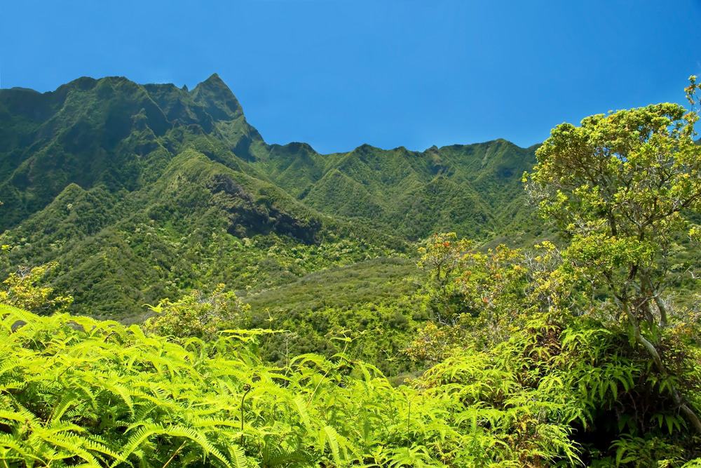 Iao Valley State Monument