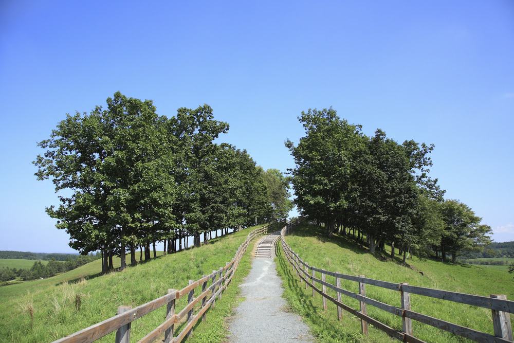 Obihiro Walking