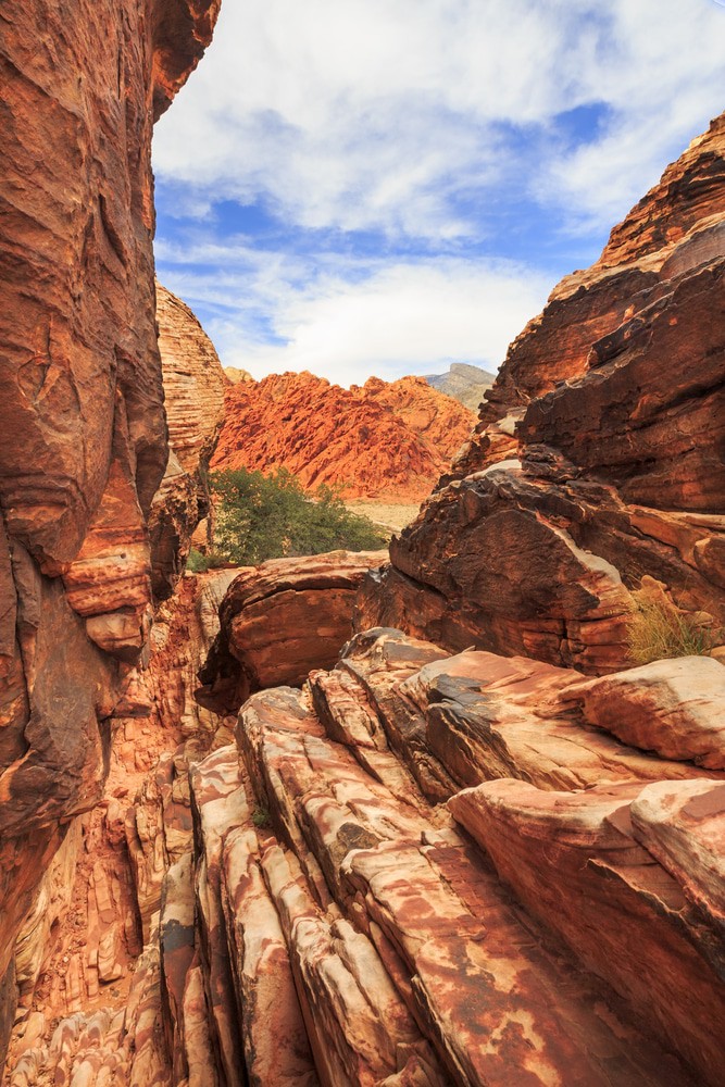 Red Cliffs, Utah