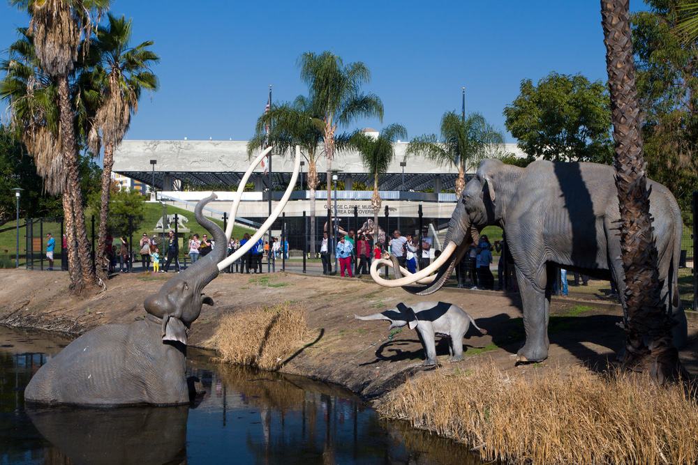 La Brea Tar Pits