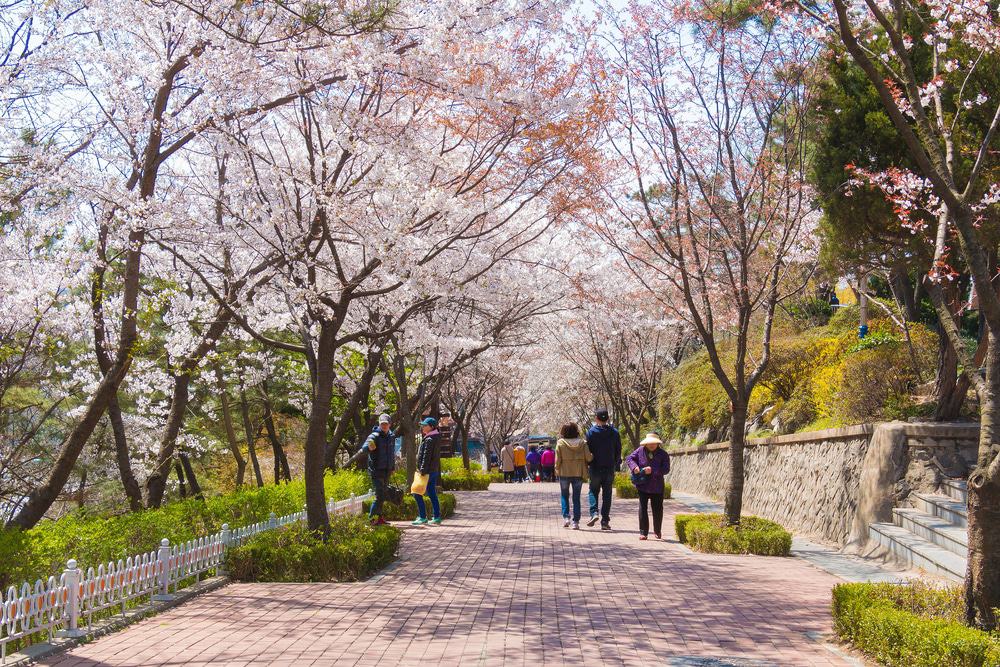 Jayu Park, Incheon, Japan