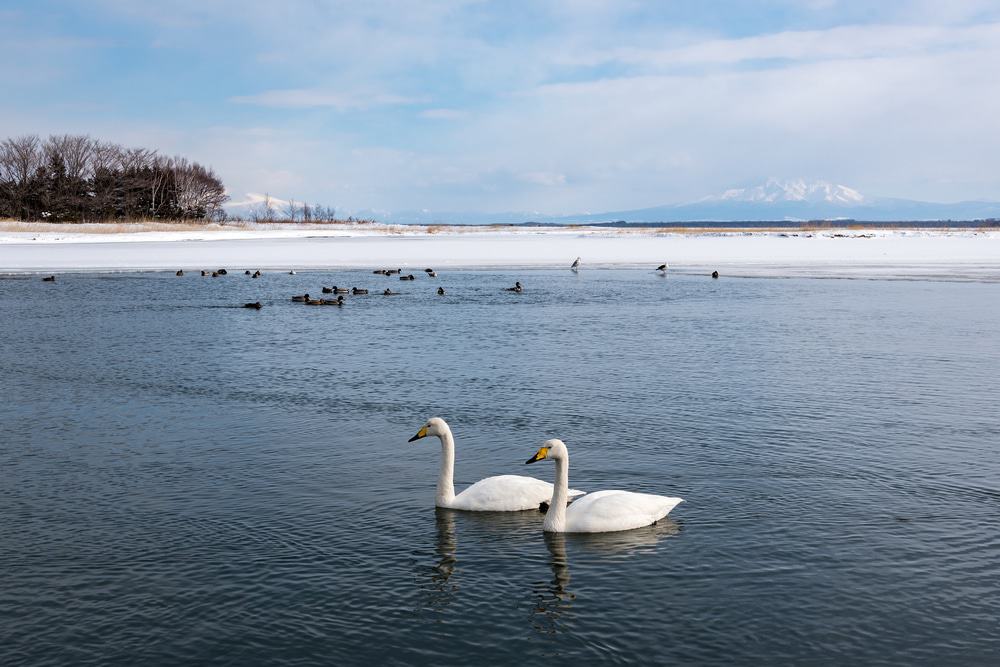 Lake Tofutsu