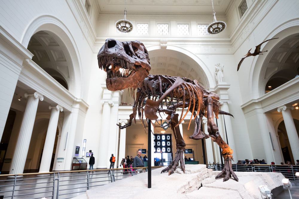 Field Museum of Natural History, Chicago