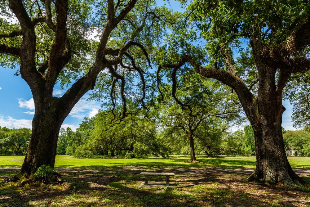 Audubon Park, Louisiana