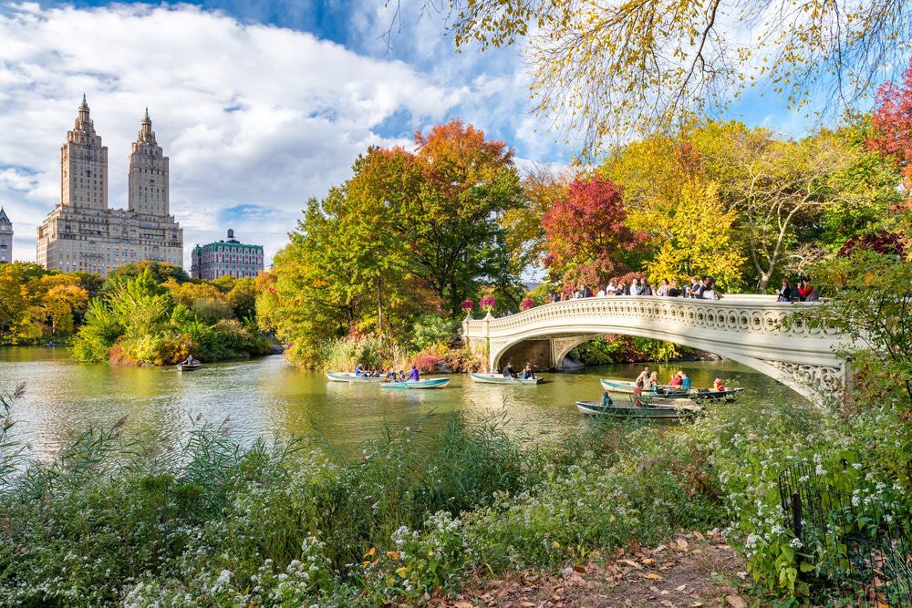 Central Park, New York