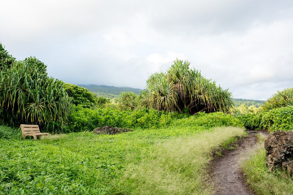 Kīpahulu District