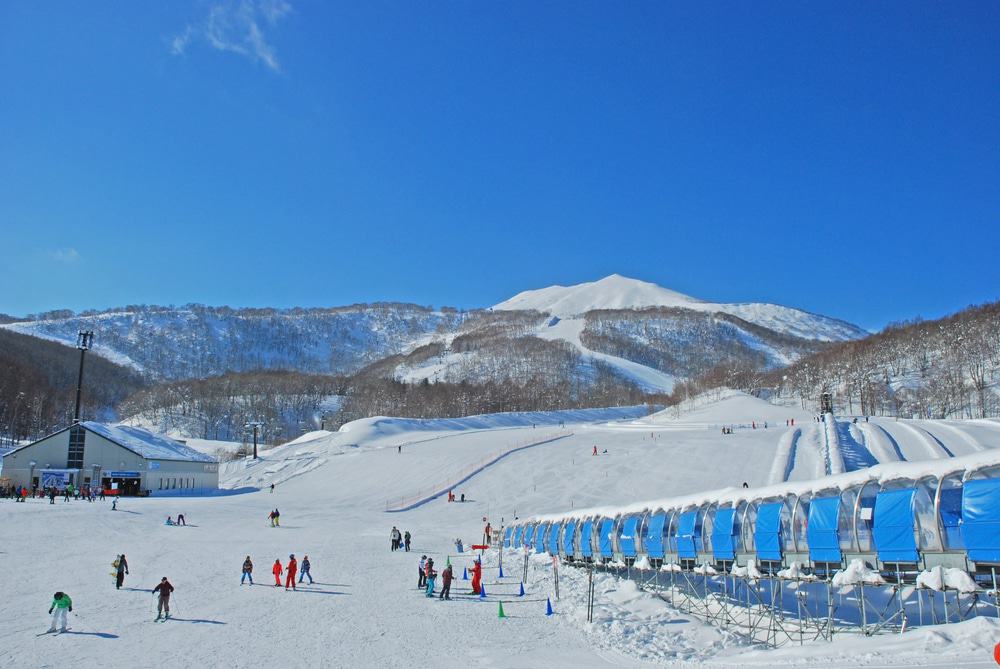 Niseko Skiing