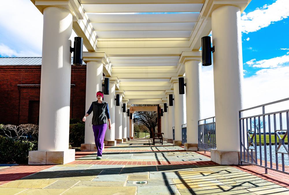 Montgomery Museum of Fine Arts