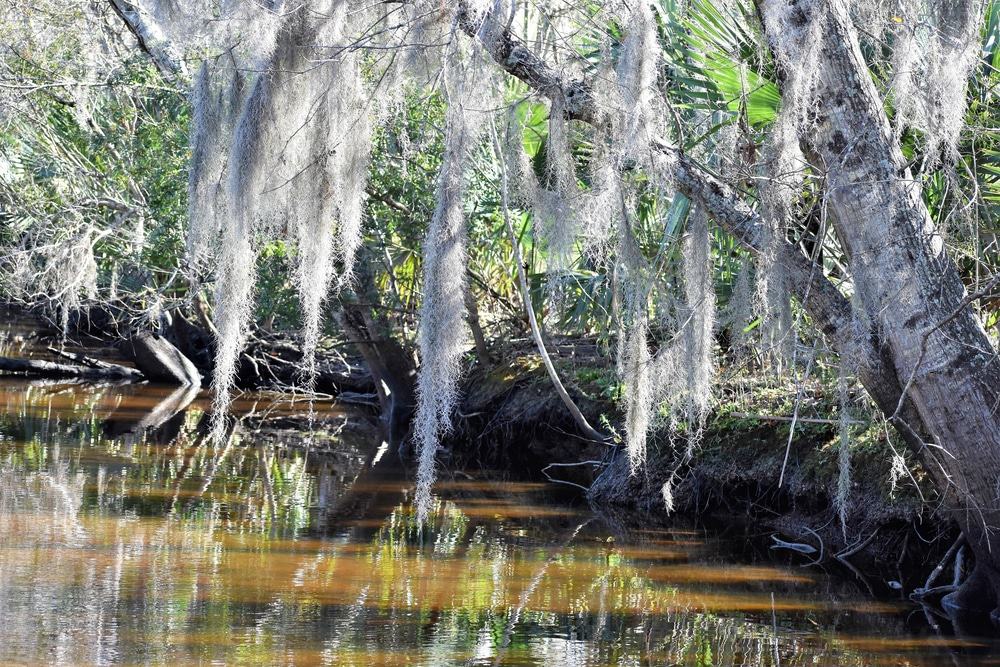 Jean Lafitte National Historic Park and Preserve