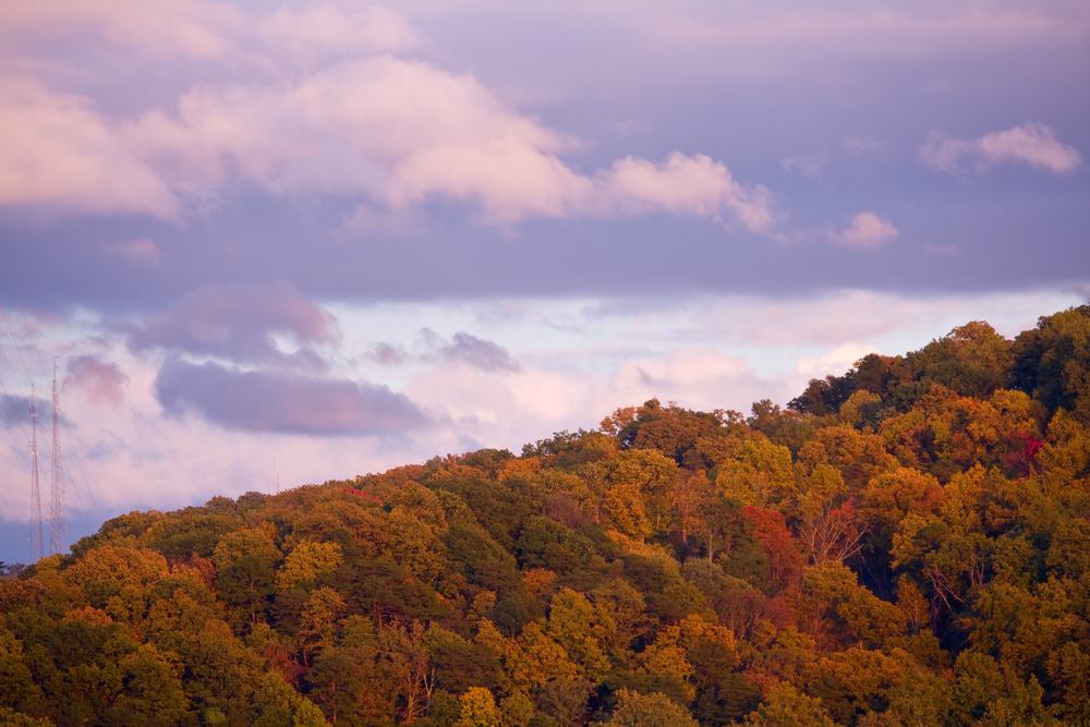Signal Mountain, Tennessee