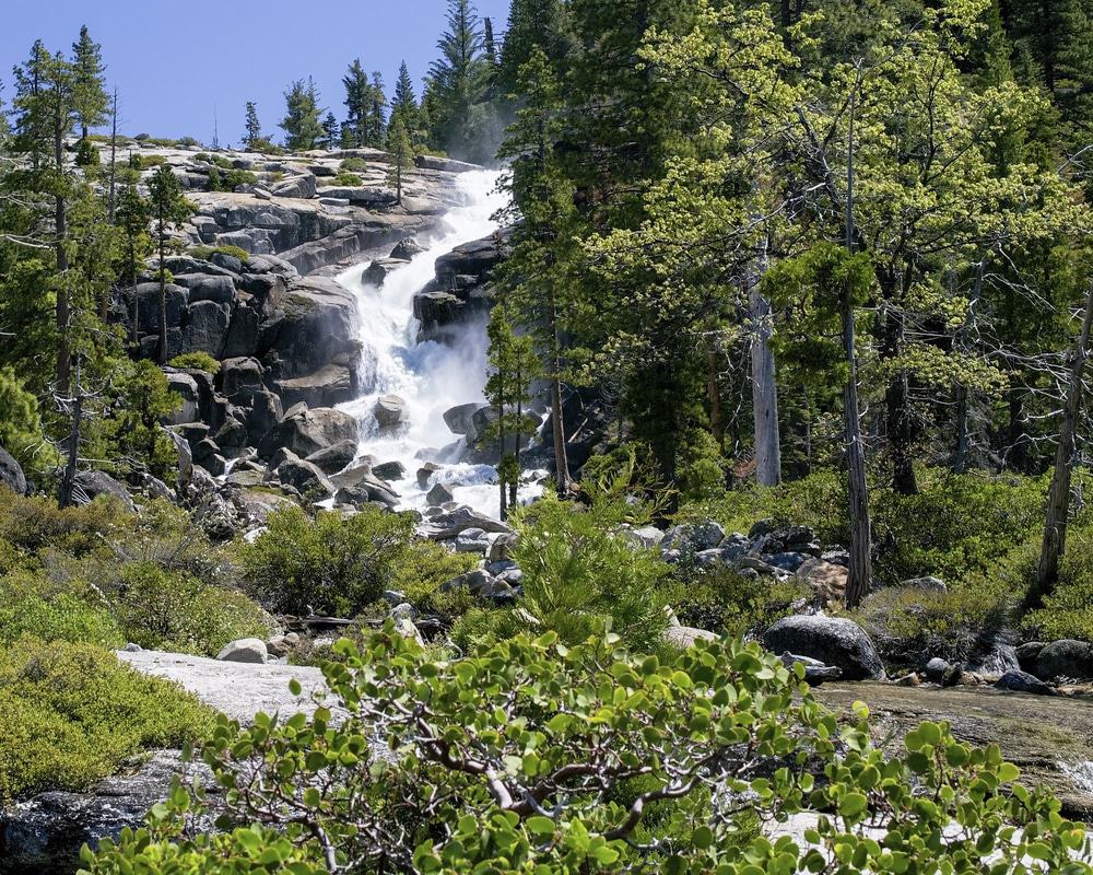 Eldorado National Forest