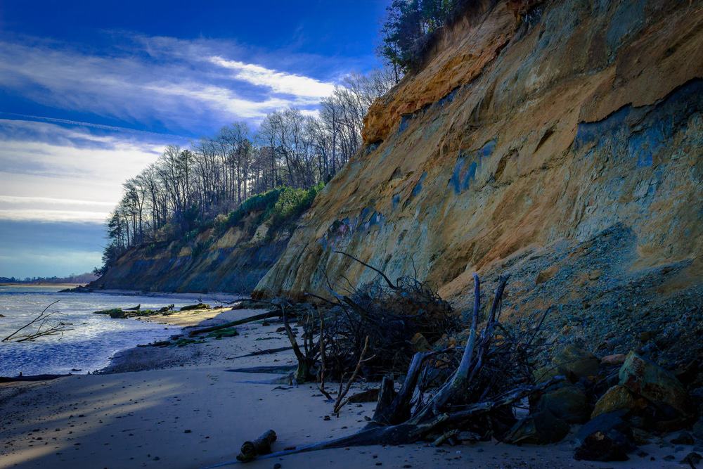 Calvert Cliff State Park in Maryland