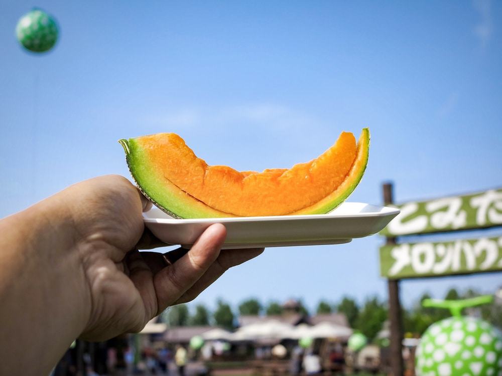 Furano Melon