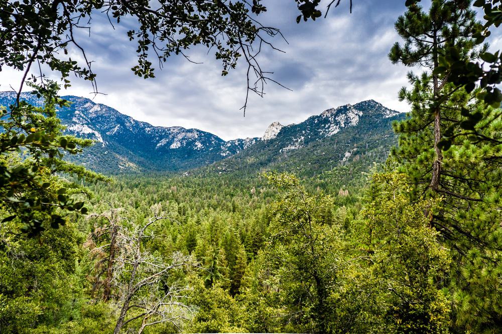 Idyllwild, California
