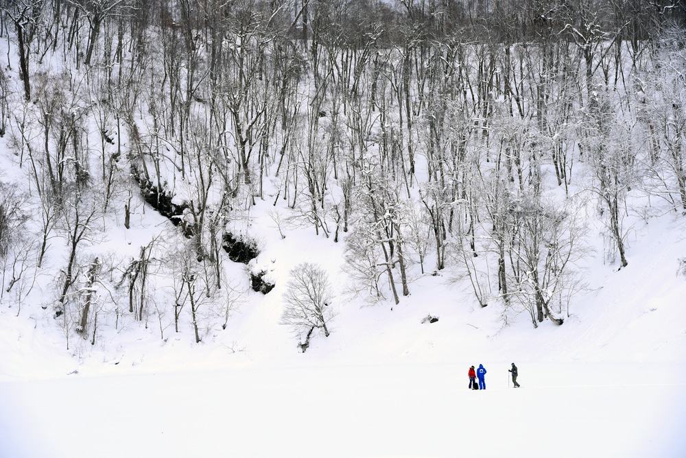 Niseko Snowshoeing