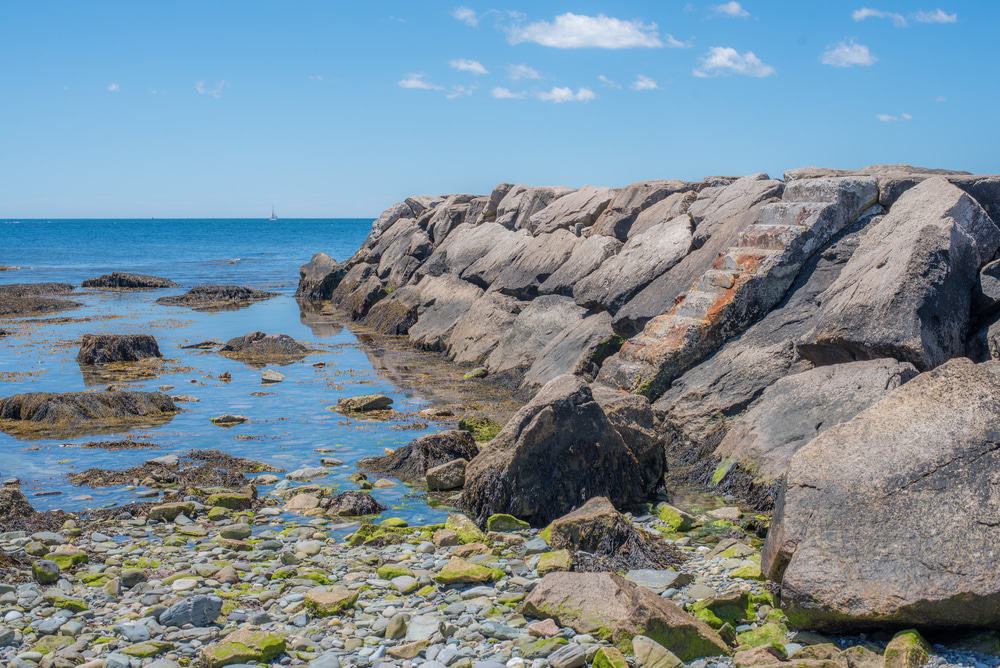 Rock Pooling