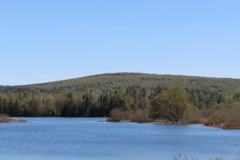 Great North Woods, New Hampshire
