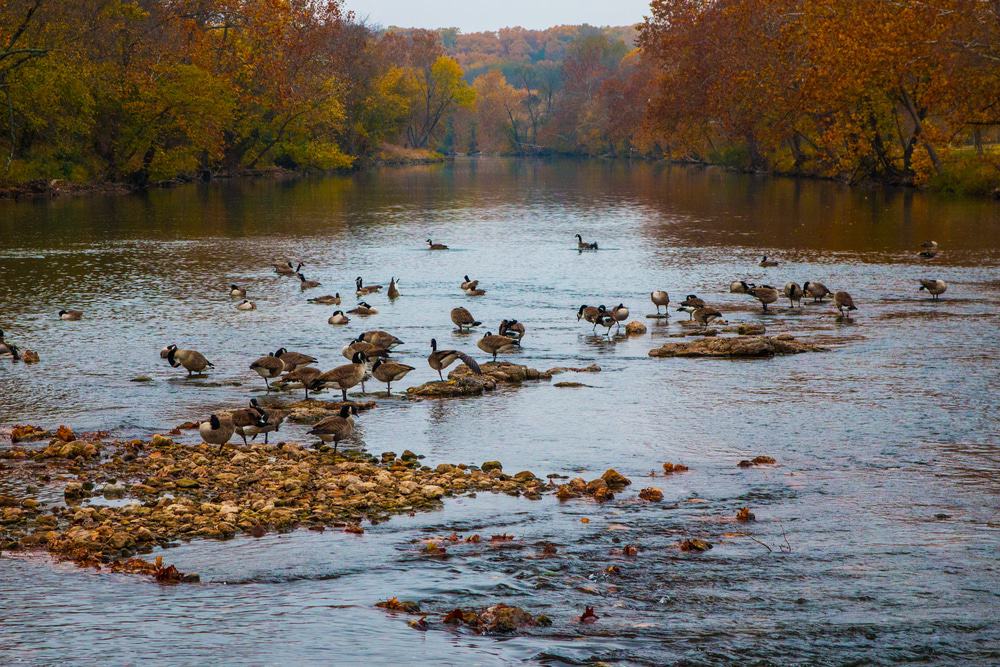 Shoal Creek in Joplin, Missouri