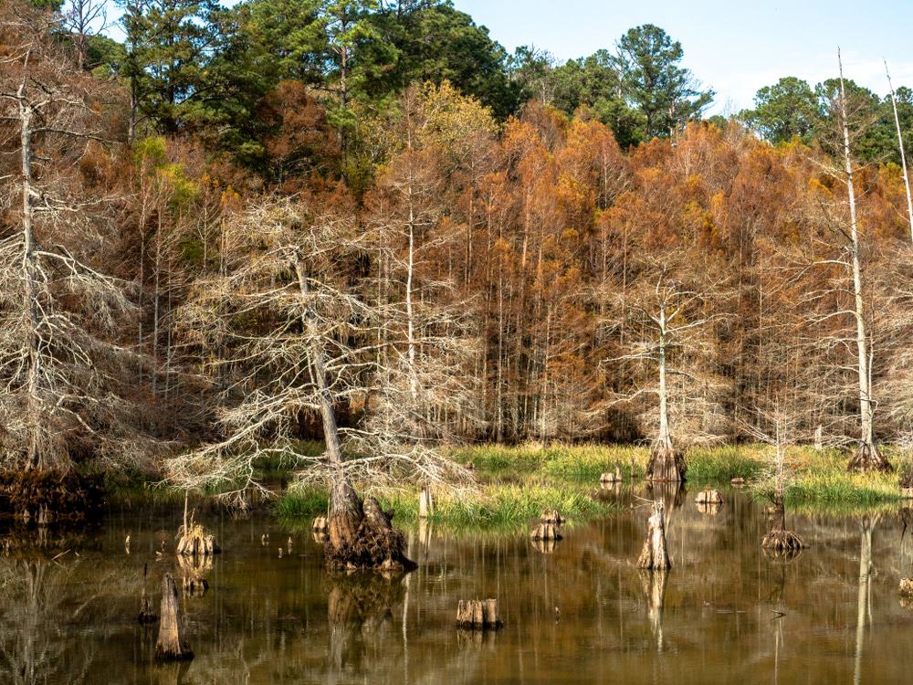 Noxubee National Wildlife Refuge