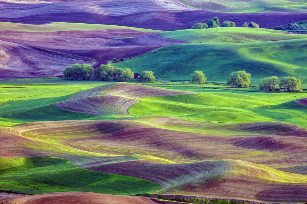 Palouse region of Washington state
