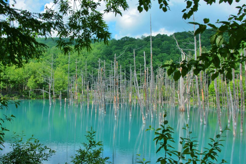 Blue Pond Aoike, Furano
