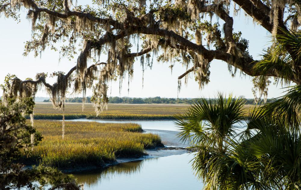 Marsh on Cumberland Island, Georgia