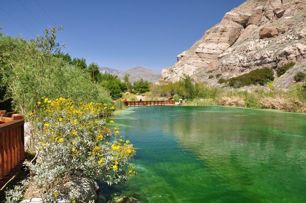 Whitewater Preserve, California