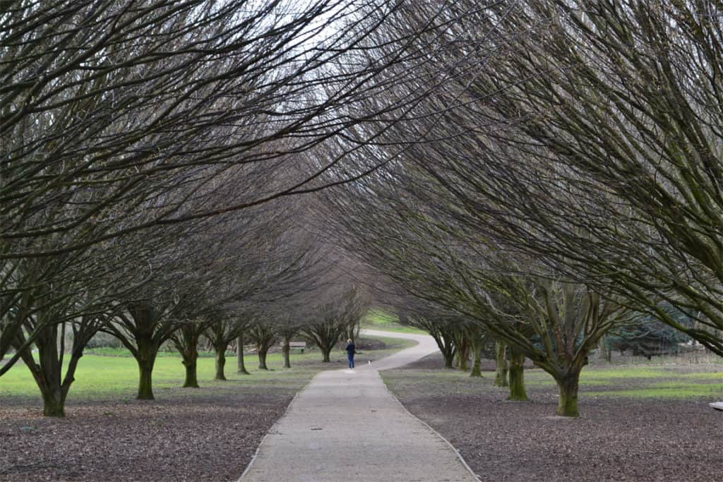Cobtree Manor Park