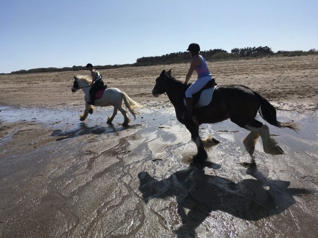 Orchard Farm Riding Centre