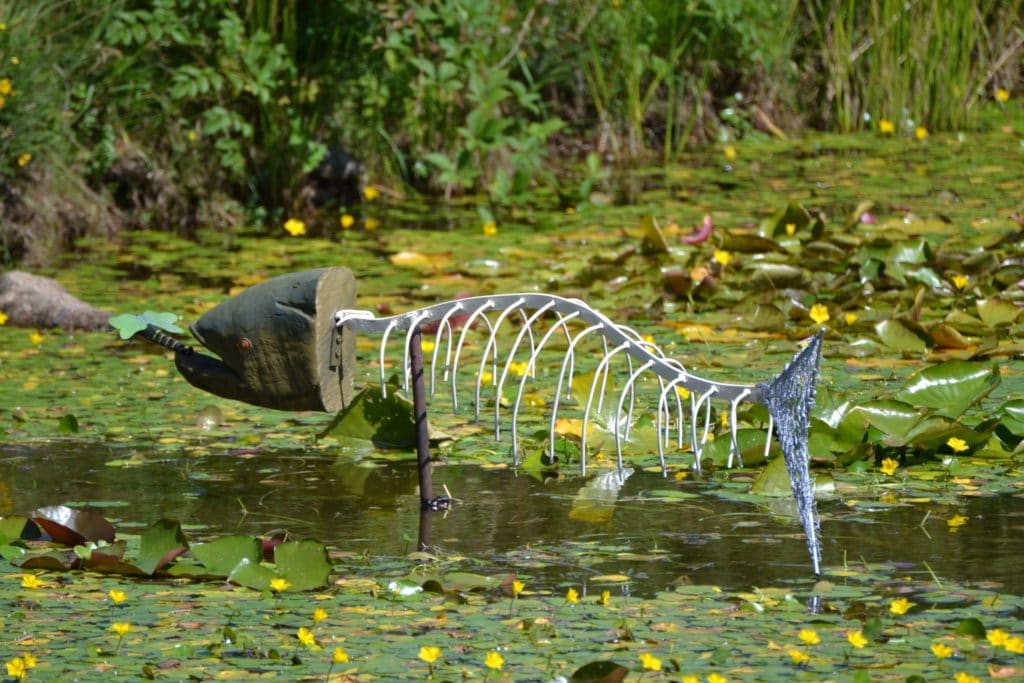 Tanglewood Wild Garden