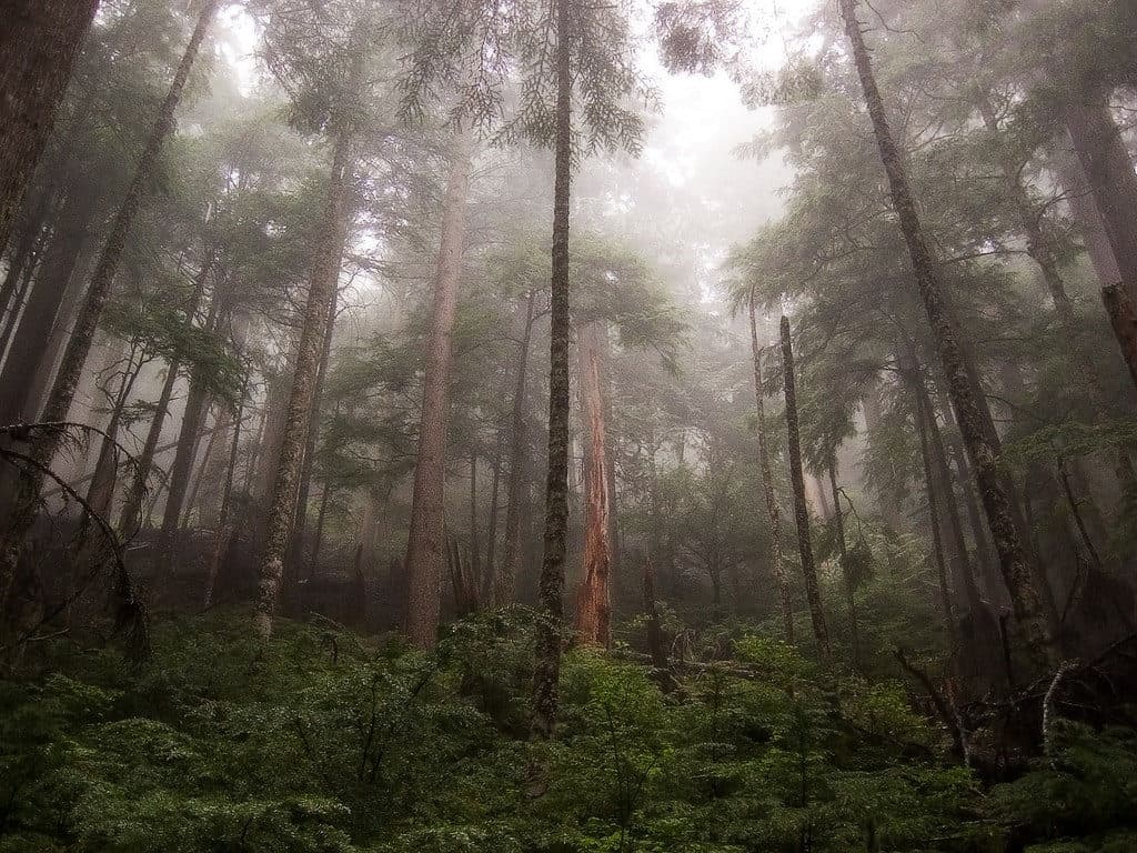 Green Lake Trail, Washington