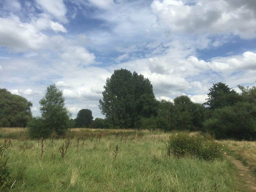 Teston Bridge Country Park