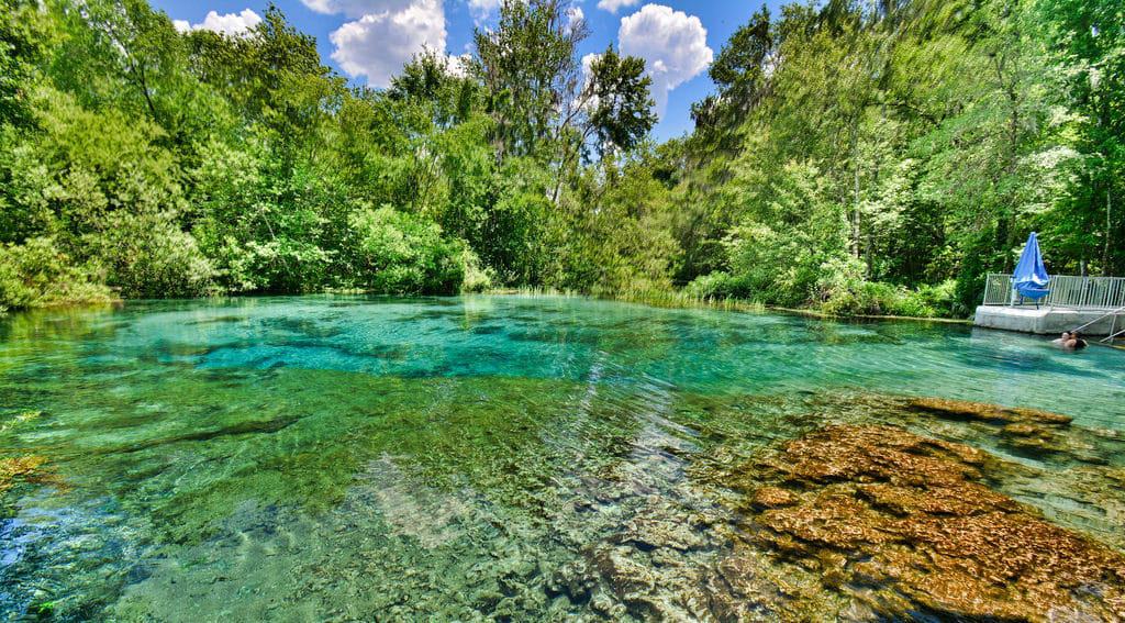 Ichetucknee Springs
