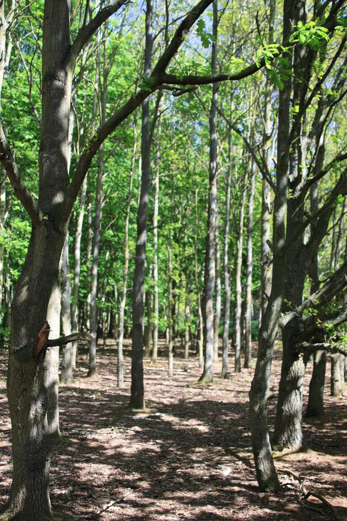 Hunsbury Hill, Northampton