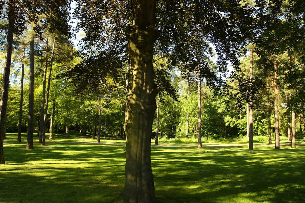 Kulåsparken