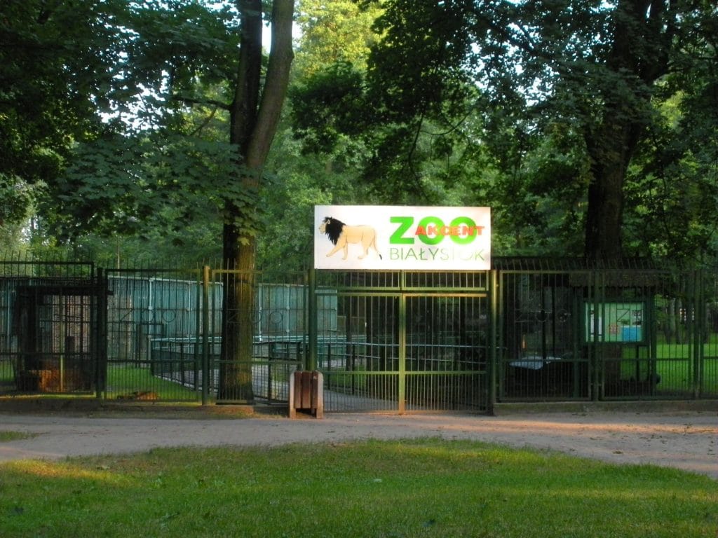 Akcent Zoo, Bialystok
