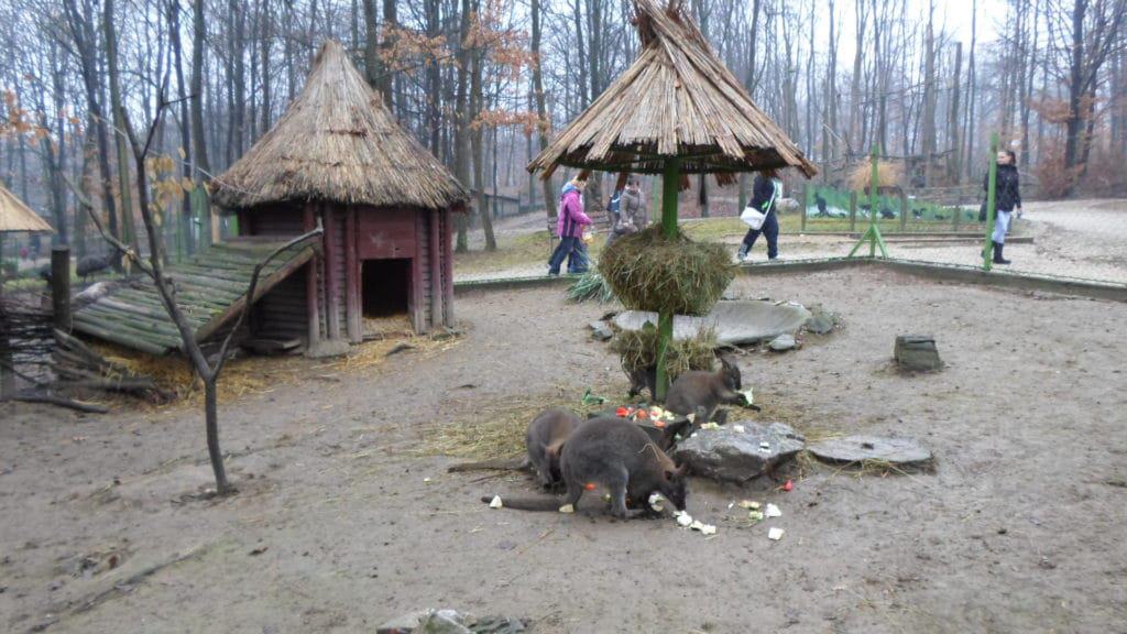 Miskolc Zoo