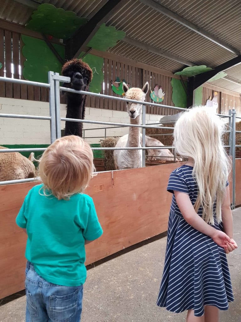 Farmer Palmer's Farm Park