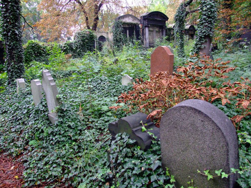 Jewish Cemetery, Zabrze
