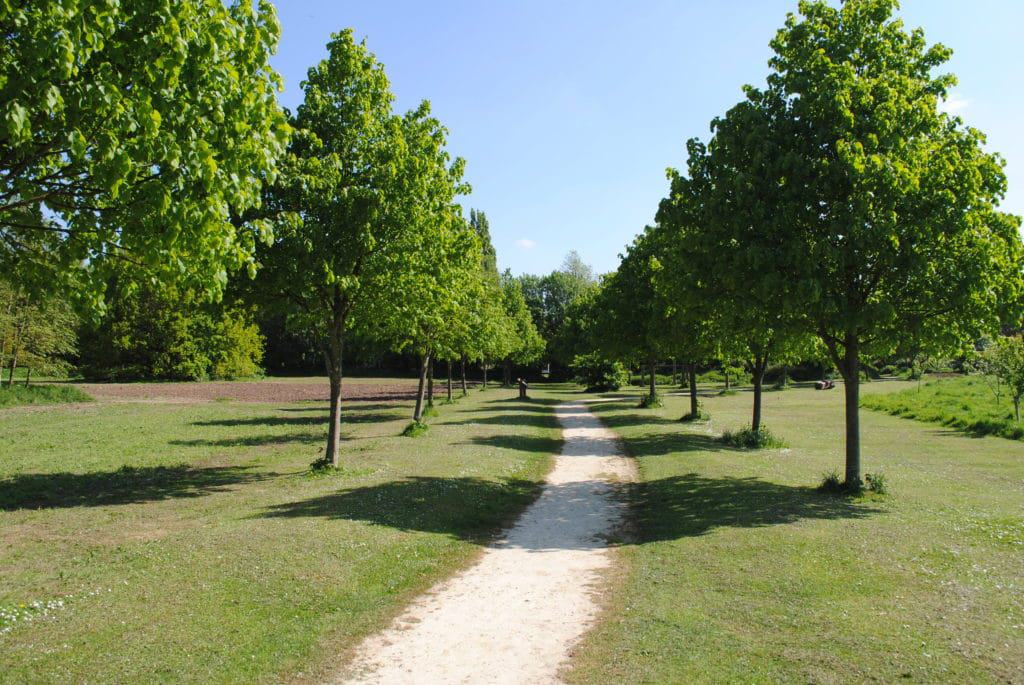 Witham Way Country Park