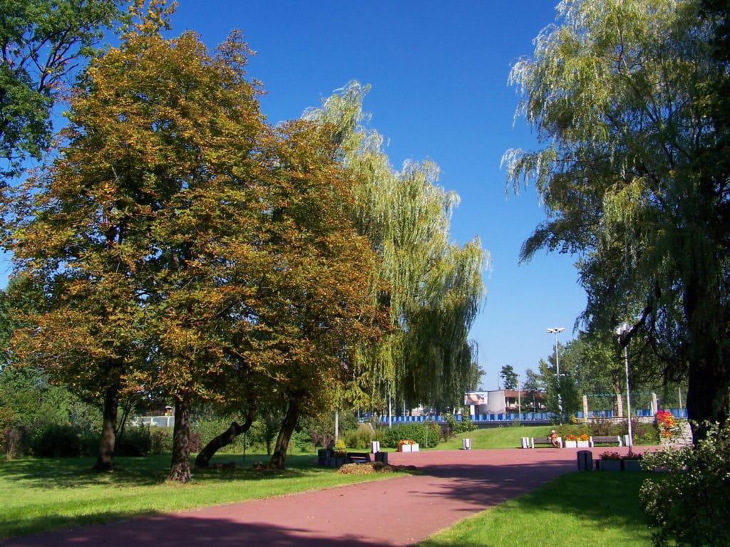 Kosciuszko Park, Katowice