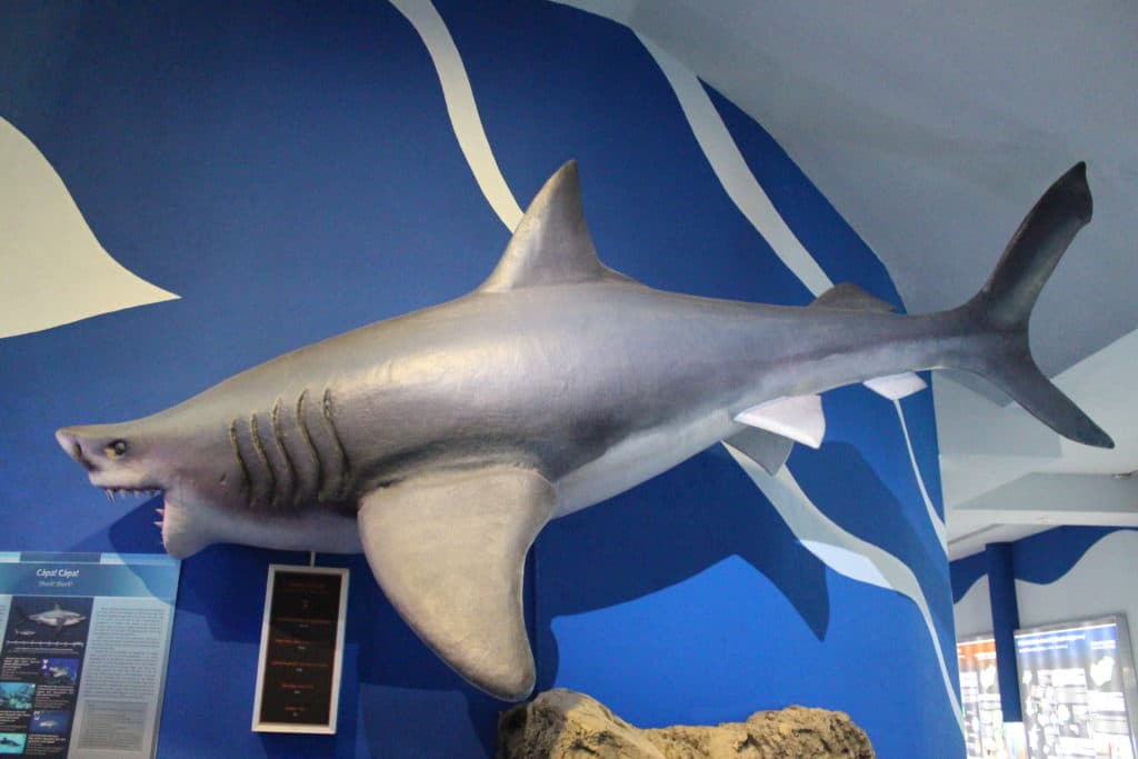 Pannon Sea Museum