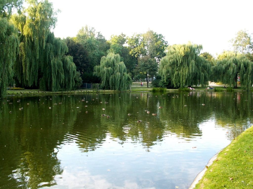 Stanisława Staszica Park