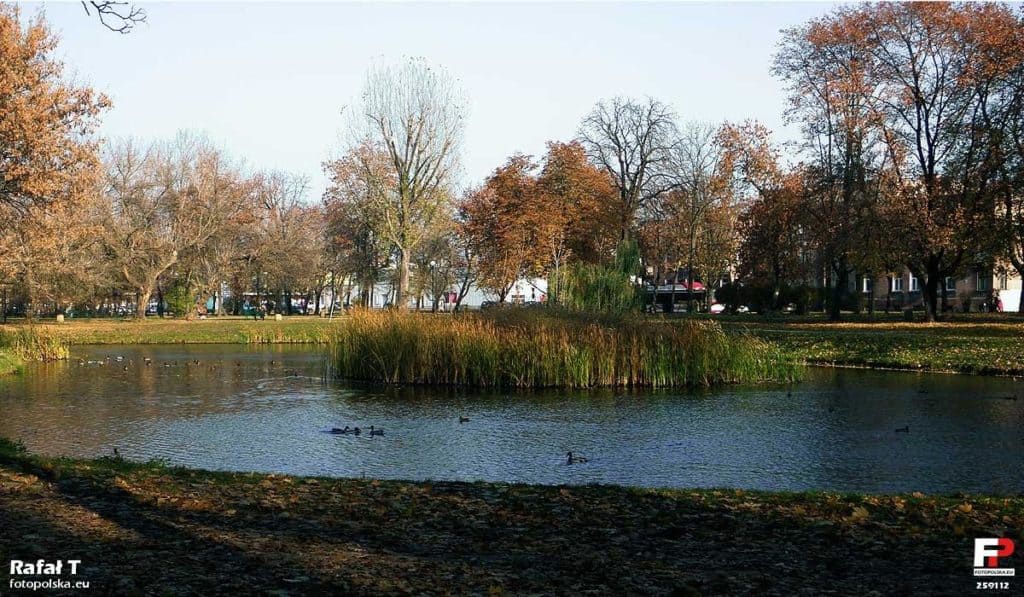 Stary Ogród