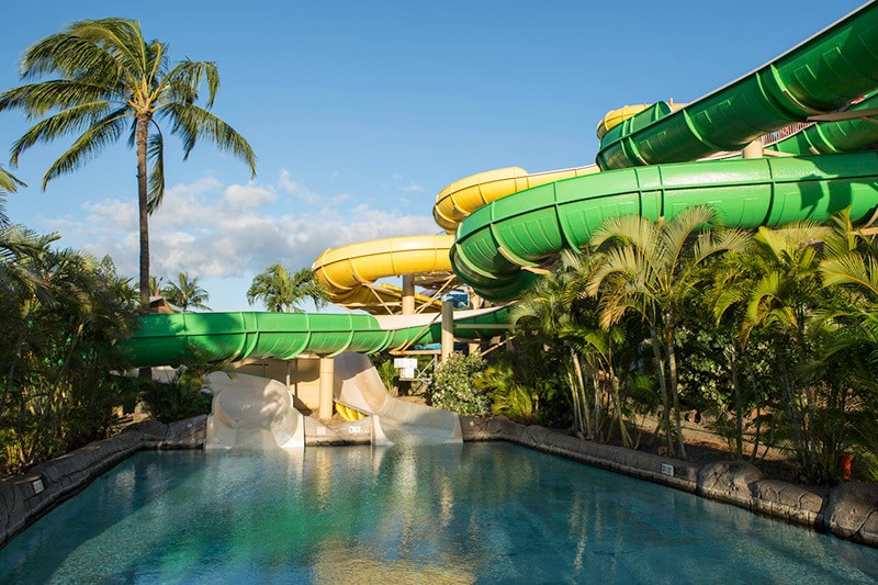 https://www.wetnwildhawaii.com/gallery/