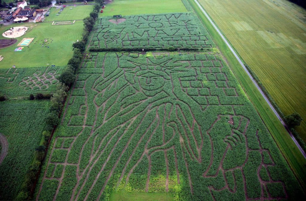 York Maze
