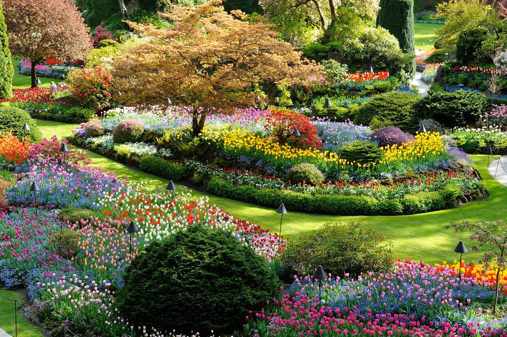 Butchart Gardens