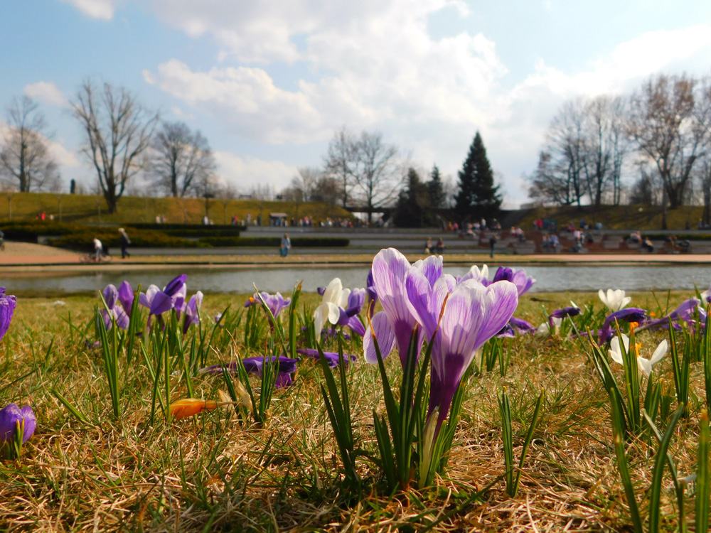 Park Cytadela, Poznan